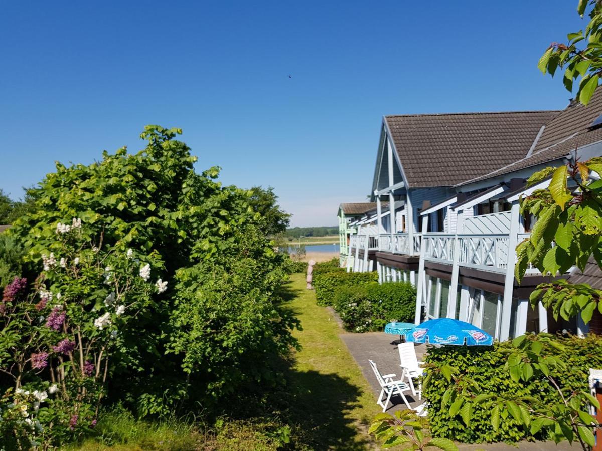 Ferienwohnung 5 Im Haus Am See ゼリン エクステリア 写真